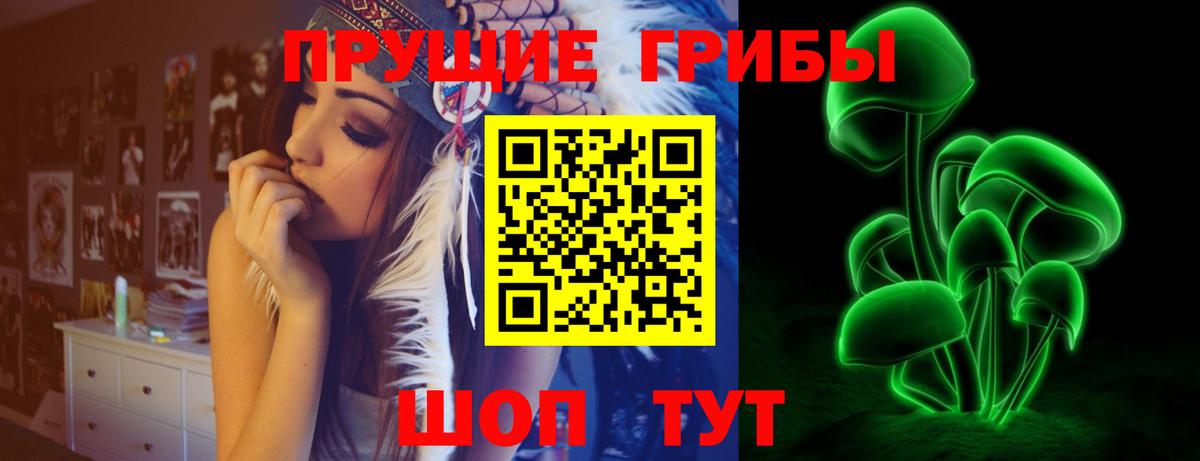 Красногорск  Псилоцибиновые грибы Psilocybe  Вход с VPN 